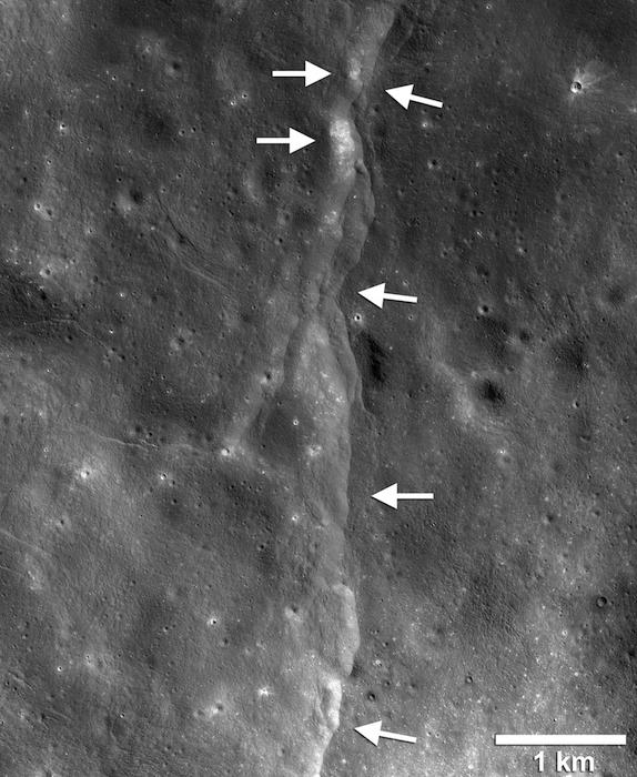 press_image_1_v2.jpg