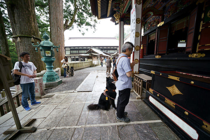犬連れ参拝客に人気の神社が ペット連れ禁止 の苦渋の決断 ニューズウィーク日本版 オフィシャルサイト