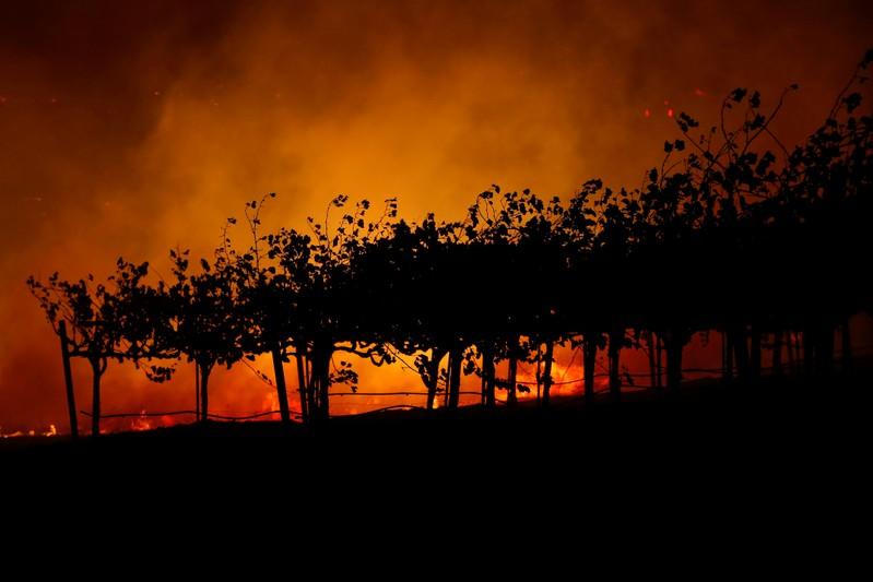 カリフォルニア州 山火事で数千人に避難命令 火災予防で万軒規模の停電実施 ニューズウィーク日本版 オフィシャルサイト カリフォルニア州 山火事で数千人に避難命令 火災予防で万軒規模の停電実施 ニューズウィーク日本版 オフィシャルサイト
