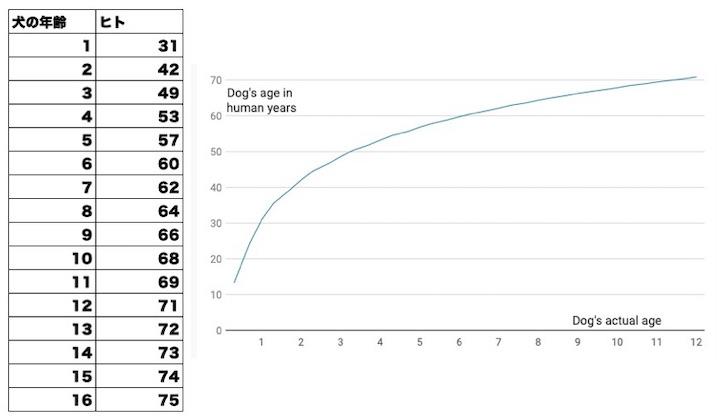 人間 犬 年齢 犬の年齢を人間に換算する２つの計算方法＆平均寿命ランキング！柴犬、トイプードル、チワワの老化スピードはバラバラ？