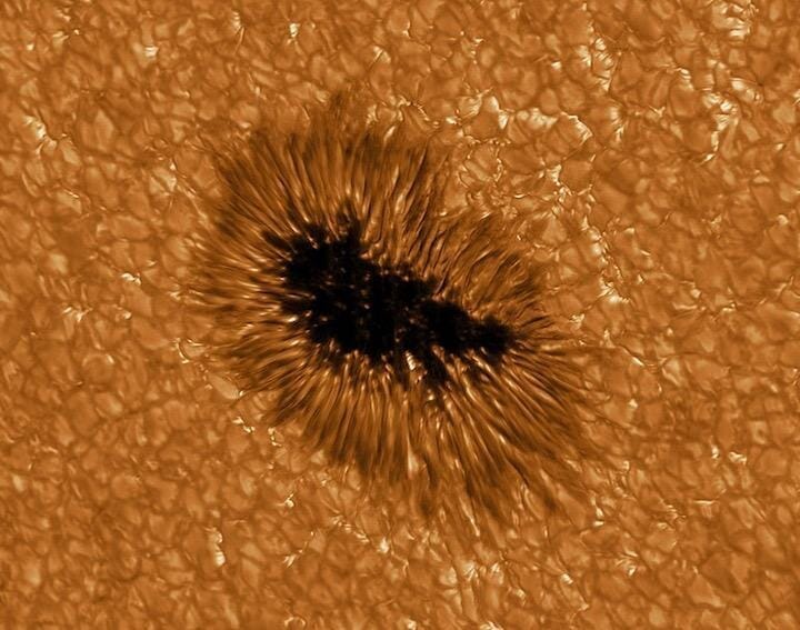 太陽の黒点のクローズアップ 最新高解像度画像が公開された ワールド 最新記事 ニューズウィーク日本版 オフィシャルサイト