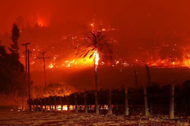 カリフォルニアワインの名産地ナパバレーでも山火事拡大 数千人に避難命令 ニューズウィーク日本版 オフィシャルサイト