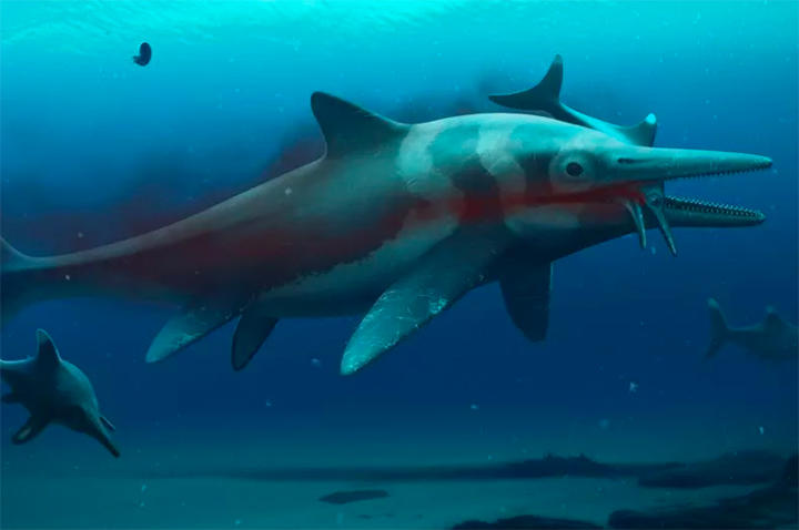 1億8000万年前の巨大な 魚竜 の化石が英国で見つかる ニューズウィーク日本版 オフィシャルサイト 1億8000万年前の巨大な 魚竜 の化石が英国で見つかる ニューズウィーク日本版 オフィシャルサイト