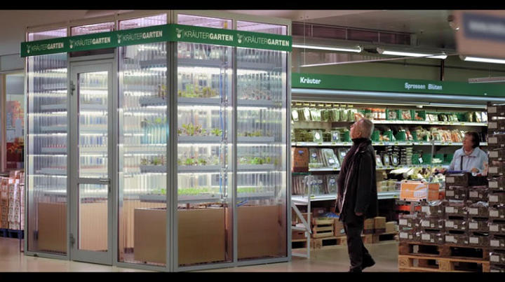 店内で栽培した 採れたて 野菜を売るスーパー ニューズウィーク日本版 オフィシャルサイト 店内で栽培した 採れたて 野菜を売るスーパー ニューズウィーク日本版 オフィシャルサイト