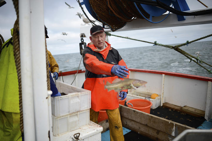 イギリスの漁師は90 がeu離脱支持 農家は半々 ワールド 最新記事 ニューズウィーク日本版 オフィシャルサイト