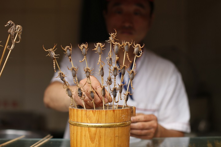 タツノオトシゴの丸焼きがタイで炎上 一転保護へ ワールド 最新記事 ニューズウィーク日本版 オフィシャルサイト タツノオトシゴの丸焼きがタイで炎上 一転保護へ ワールド 最新記事 ニューズウィーク日本版 オフィシャルサイト