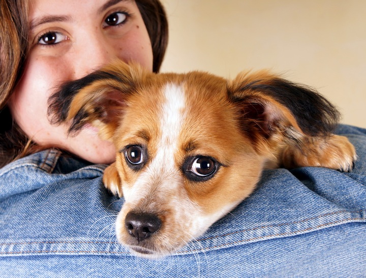 いい子でちゅね 成犬だって赤ちゃん言葉で話しかけられたい ニューズウィーク日本版 オフィシャルサイト