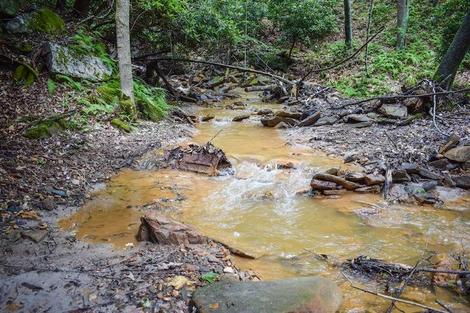 アメリカの34 の河川で塩分濃度が上昇していた ニューズウィーク日本版 オフィシャルサイト