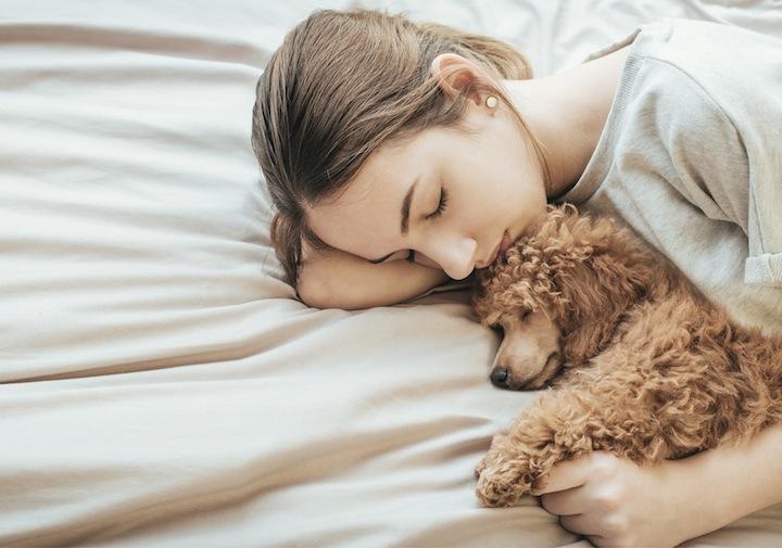 女性のベッドのお供は 人間ではなく犬がベスト ワールド 最新記事 ニューズウィーク日本版 オフィシャルサイト