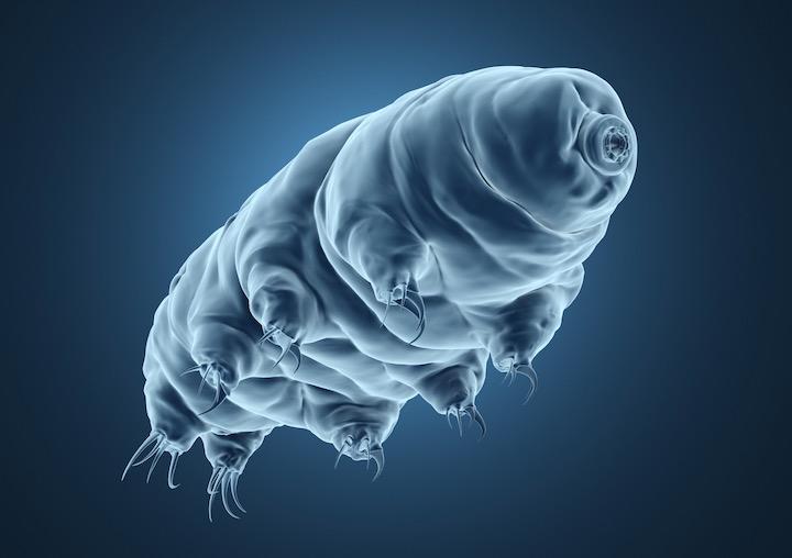 Web site image