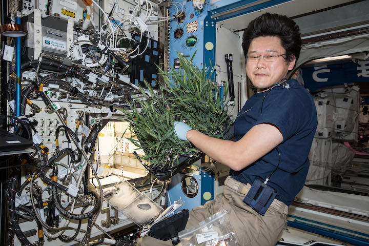 宇宙飛行士が語る 宇宙日本食 体験 宇宙で食料を作る試み ワールド 最新記事 ニューズウィーク日本版 オフィシャルサイト 宇宙飛行士が語る 宇宙日本食 体験 宇宙で食料を作る試み ワールド 最新記事 ニューズウィーク日本版 オフィシャルサイト