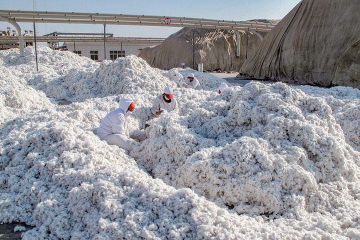 ウイグル弾圧で生産された 新疆綿 を日の丸アパレルが使用 ニューズウィーク日本版 オフィシャルサイト