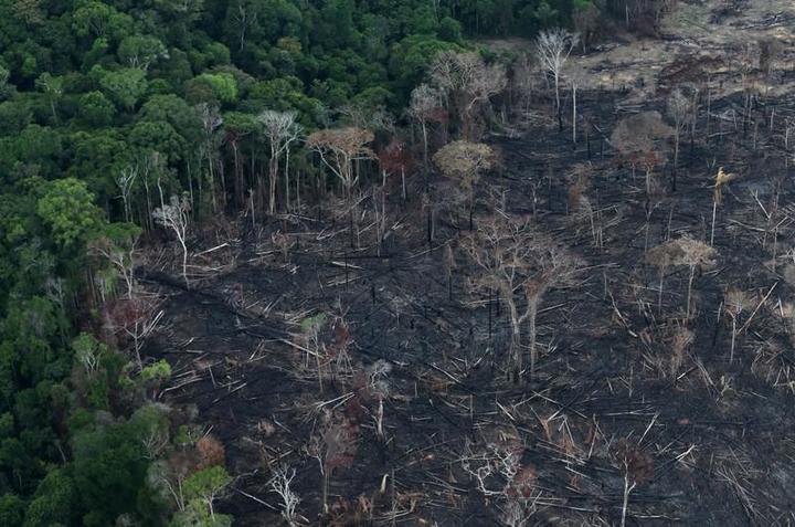 アマゾン森林破壊 過去10年で最悪 ボルソナロ政権の開発優先政策が影響か ニューズウィーク日本版 オフィシャルサイト
