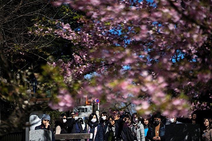 新型コロナウイルス 春になれば感染拡大は収まる は本当か