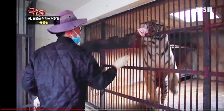 韓国版 聖地巡礼 動物園からカフェ 人気タレントの自宅まで ニューズウィーク日本版 オフィシャルサイト