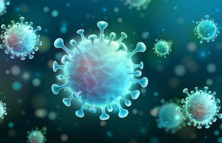 新型コロナウイルスは、長年にわたるヒト-ヒト感染で進化した可能性がある