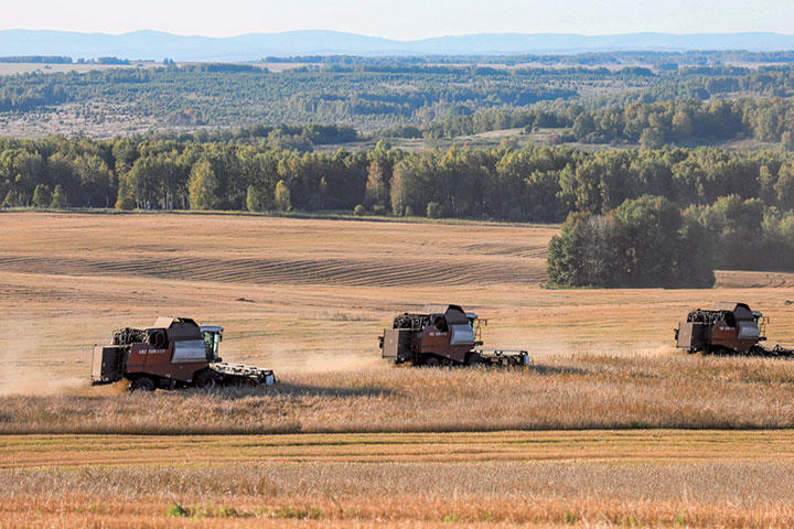 ロシアの穀物輸出制限が世界の食卓を脅かす ワールド 最新記事 ニューズウィーク日本版 オフィシャルサイト