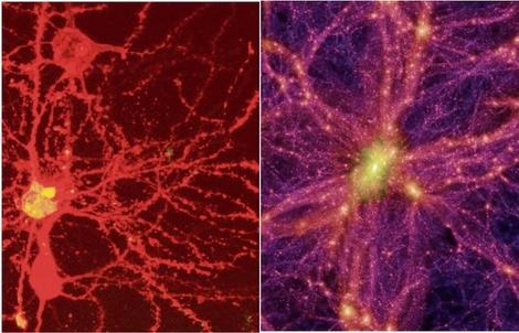 やはり、脳と宇宙の構造は似ている......最新研究