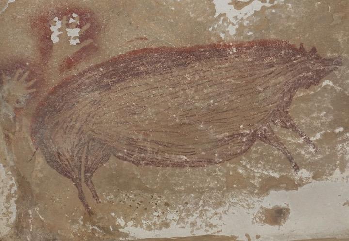 世界最古、4万5500年前に描かれた動物の洞窟壁画がインドネシア