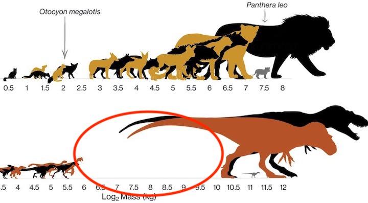 肉食恐竜が 大型と小型なのはなぜ 理由が明らかに ワールド 最新記事 ニューズウィーク日本版 オフィシャルサイト