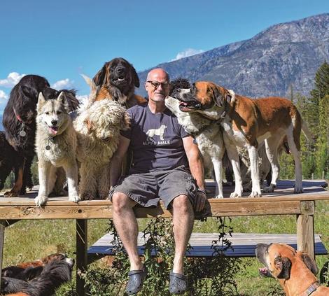 生きるために自分の足を噛みちぎった犬ルークの強さ ニューズウィーク日本版 オフィシャルサイト