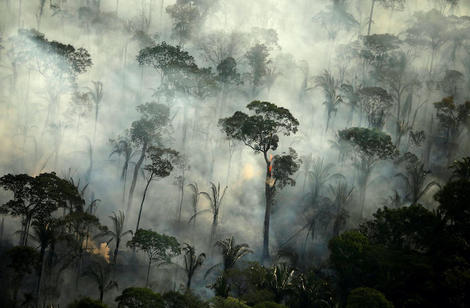 アマゾン熱帯雨林は二酸化炭素の吸収源から排出源に転換していた