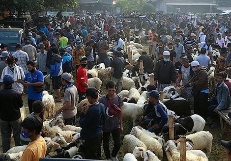 インドネシア政府､コロナ規制強化策を5日間延長へ　抜本的対策なく国民に不信感