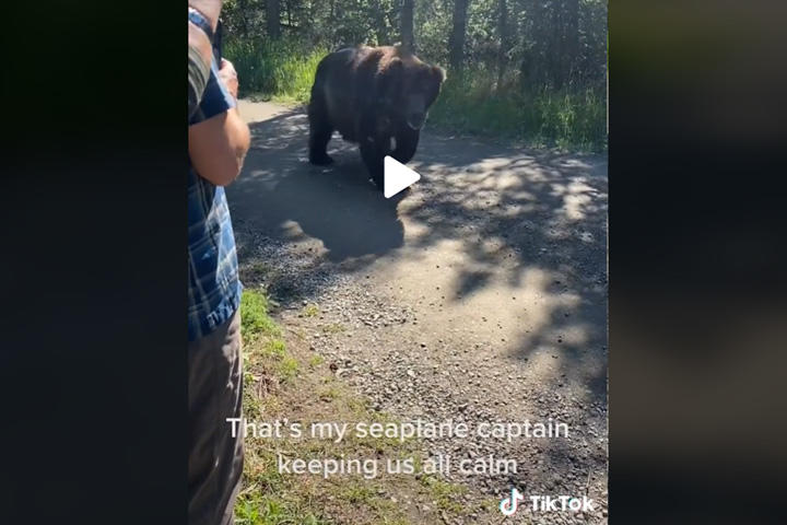 動画 ハイイログマと超至近距離で遭遇 完璧な対応 で全員無事 ニューズウィーク日本版 オフィシャルサイト