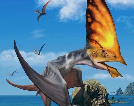 巨大なとさかを持つ約1億年前の翼竜の骨格が発見される