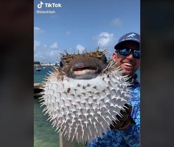 映像 フロリダで釣り上げられた巨大フグに有名釣り師も笑い止まらず ニューズウィーク日本版 オフィシャルサイト