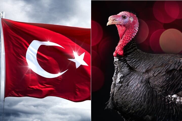 もう「七面鳥」とは呼ばせない トルコの国名が「テュルキエ」に、国連