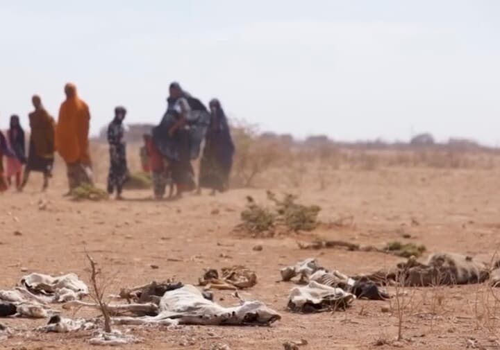 東アフリカで干ばつが進行 サルが女性と子供を襲い 人々は牛小屋の水で命つなぐ ニューズウィーク日本版 オフィシャルサイト