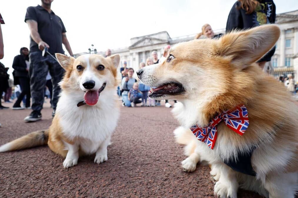 女王がかわいがっていた犬が 一緒に埋葬される というブラックジョークも ニューズウィーク日本版 オフィシャルサイト