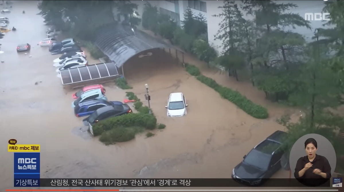 乾燥台地（韓国語） お取り寄せ)お花ワッフルニット 韓国生地 | Lulu putu❁韓国生地屋