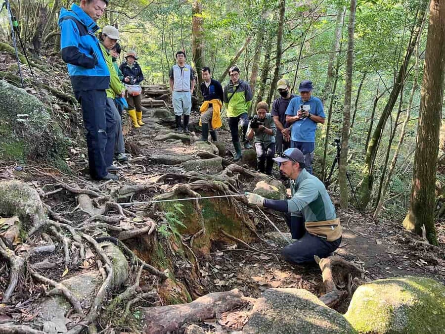 屋久島の作法 日本の環境遺産を旅する (shin - その他 - その他