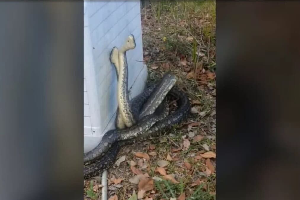 newsweekjp20241005085303-