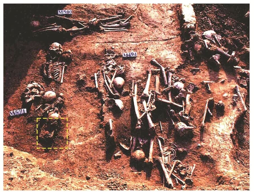 newsweekjp20250326051954-