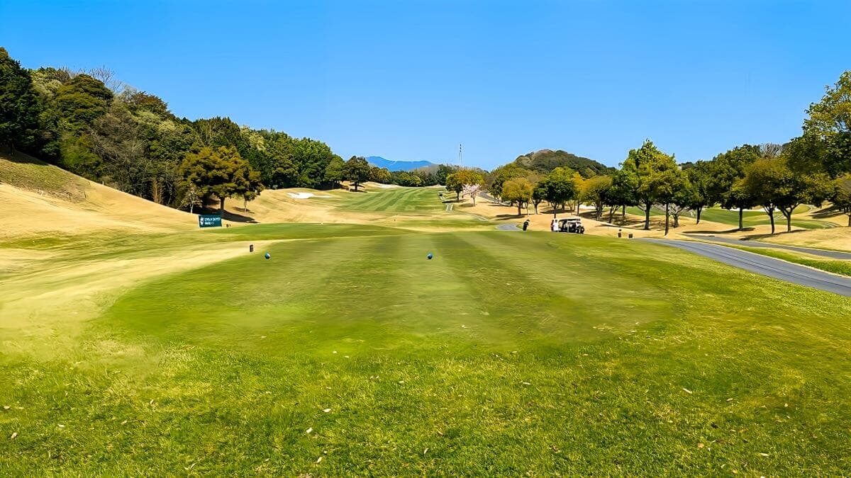 中高年になったら2種類の趣味を持っておこう...経営者が茶道などの稽古事を嗜む理由
