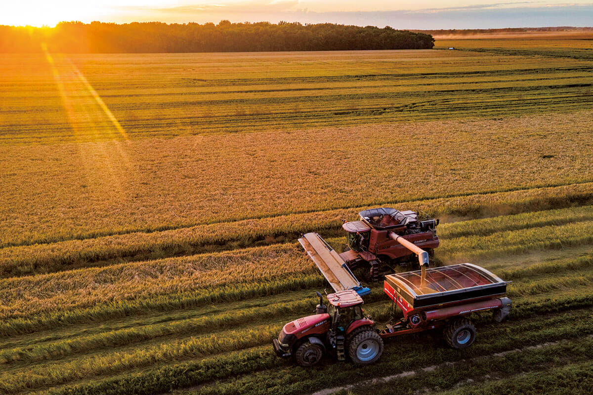 アメリカの大規模営農（ミシシッピ州）
