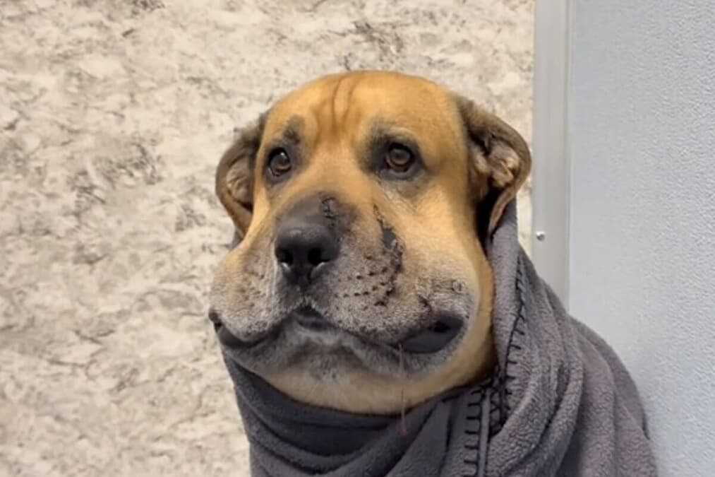 newsweekjp20250702024957-thumb