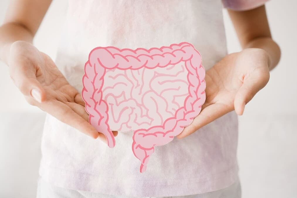 3歳までに決まる腸内細菌！健康、老化、メンタルヘルスに劇的な影響を与える驚きの科学