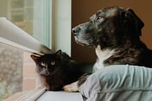 madalyn-cox-unsplash-thumb-