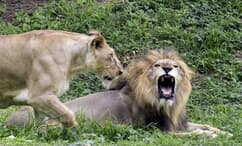 newsweekjp20250805090648-thumb