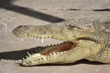 newsweekjp20250807084910-thumb