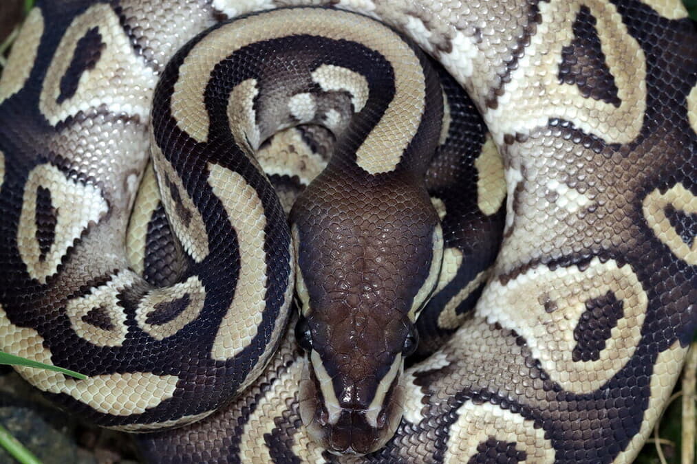 newsweekjp20250812074714-thumb