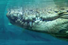 newsweekjp20250901075758-thumb