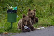 newsweekjp20250908051213-thumb