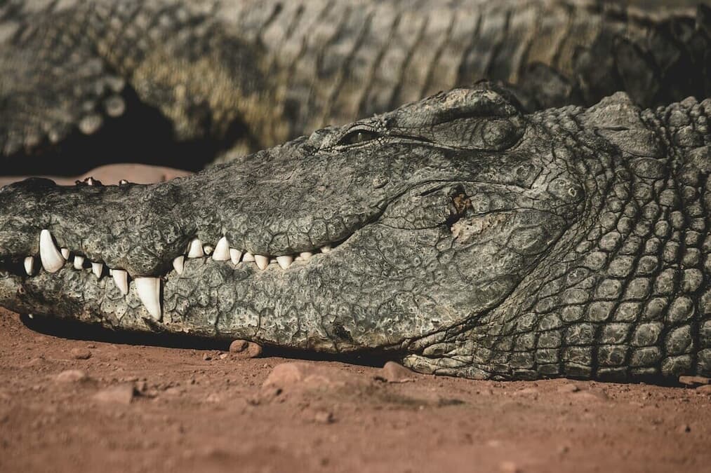 newsweekjp20251028031957-thumb