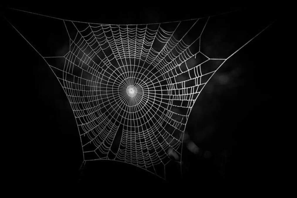 【最終値下げ】クモの巣デザイン 半幅帯 黒 クモの巣のイラスト素材 [56018271] - PIXTA