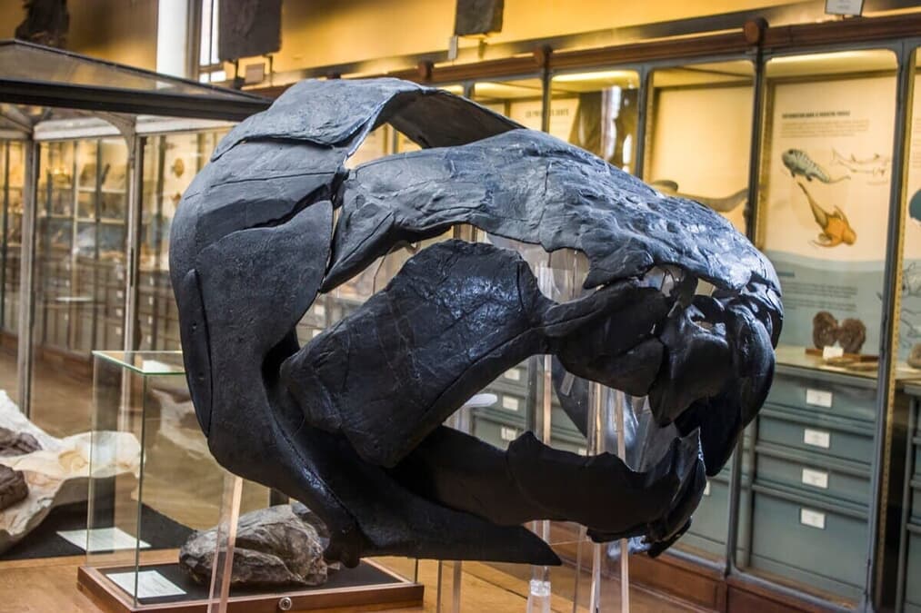 newsweekjp20251121100250-thumb